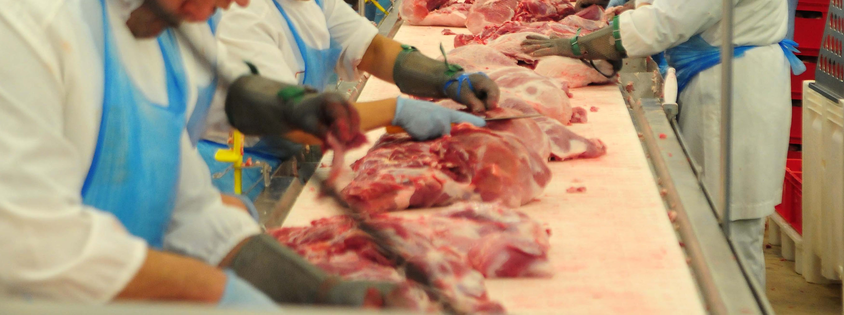 CENTRO DE COMPETÊNCIAS PODE AJUDAR NA SEGURANÇA ALIMENTAR