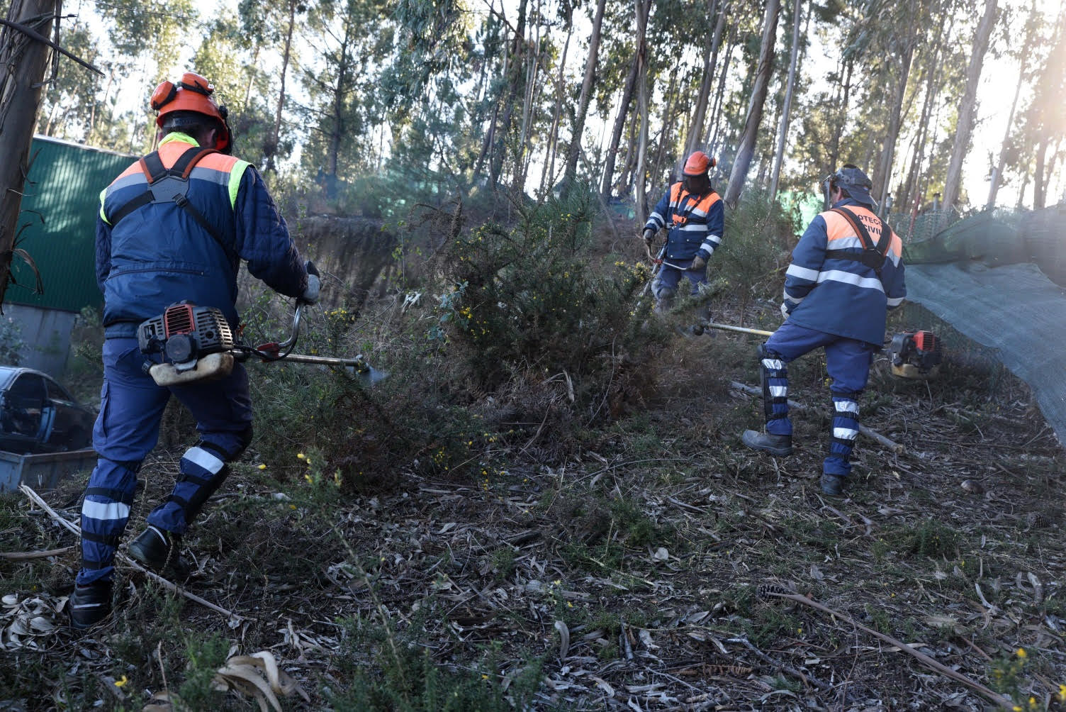 Autarquia de Famalicão reforça meios de combate aos fogos