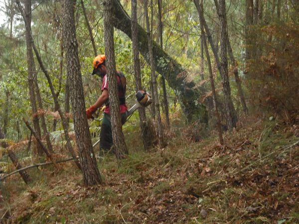 Fisco avisa contribuintes que têm até 15 de março para limpar terrenos