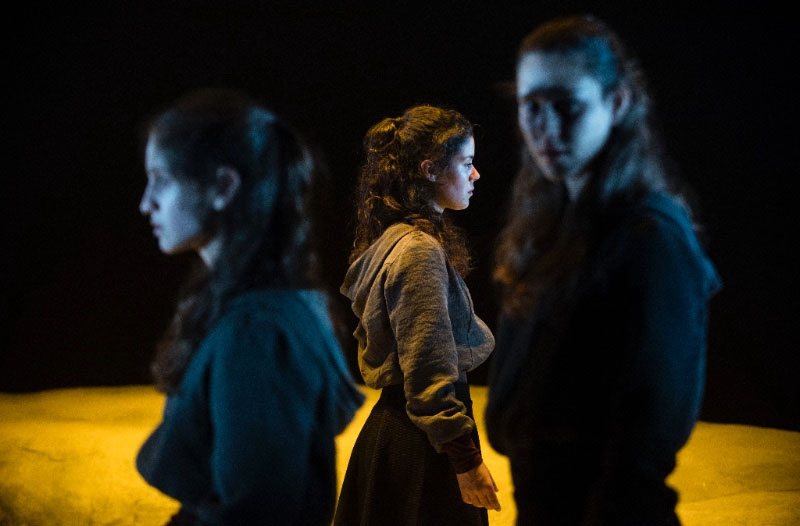 Teatro da Didascália mostra a mulher selvagem que há em nós