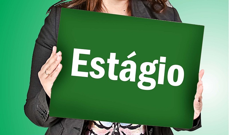 Programa de Estágios de Jovens Estudantes do Ensino Superior nas Empresas