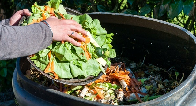Recolha de lixo orgânico pode baixar a fatura mensal