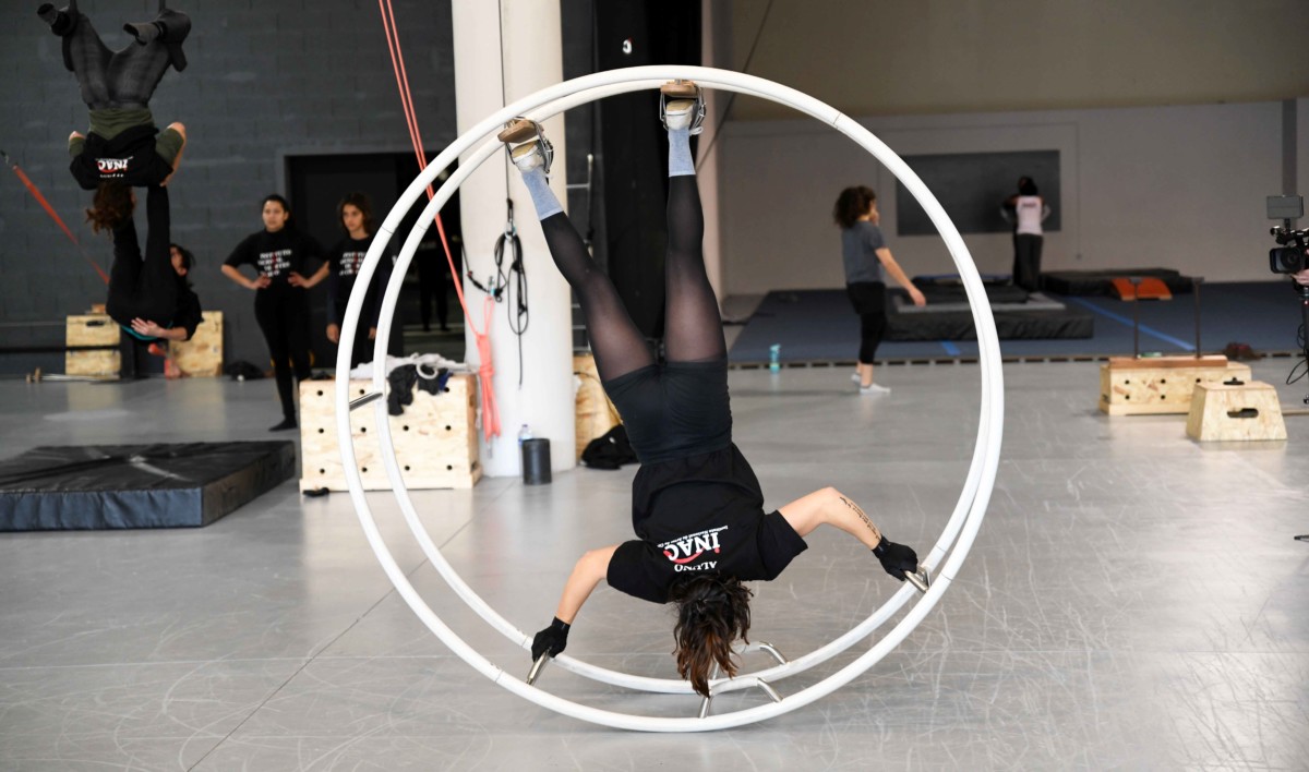 Instituto Nacional de Artes do Circo na Federação de escolas europeias