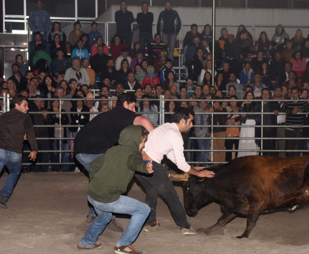 PAN quer acabar com garraiadas em Famalicão