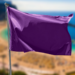 Bandeira roxa na praia? Saiba o que significa este aviso