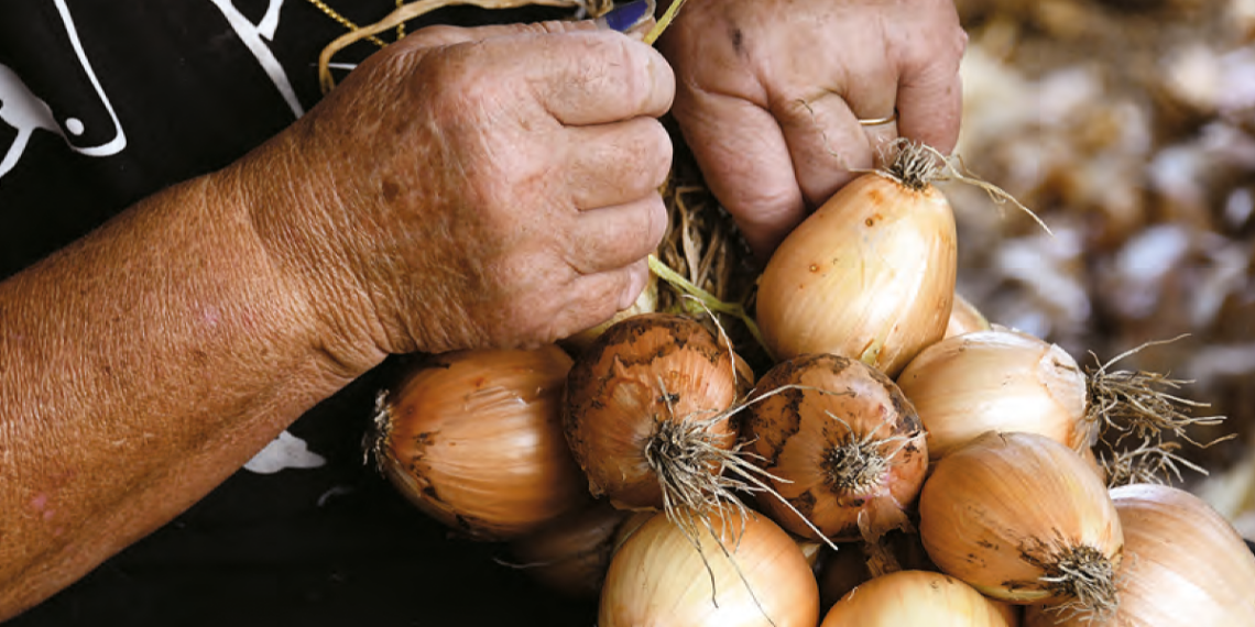 Famalicão: Feira das Cebolas (Gondifelos) no último fim de semana de agosto