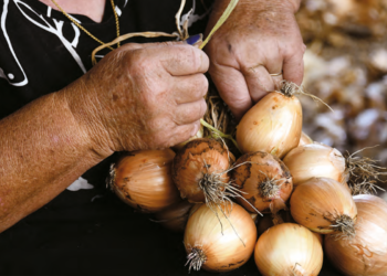 Famalicão: Feira das Cebolas (Gondifelos) no último fim de semana de agosto