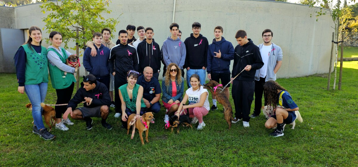 Famalicão: Alunos D. Sancho I organizam CãoMinhada Solidária