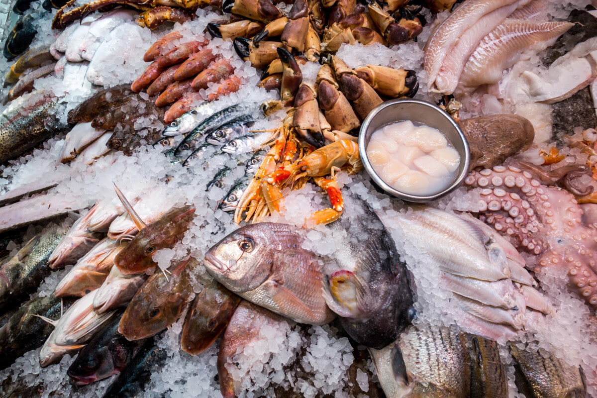 Preço do peixe aumenta: Carapau e robalo são os que mais sobem